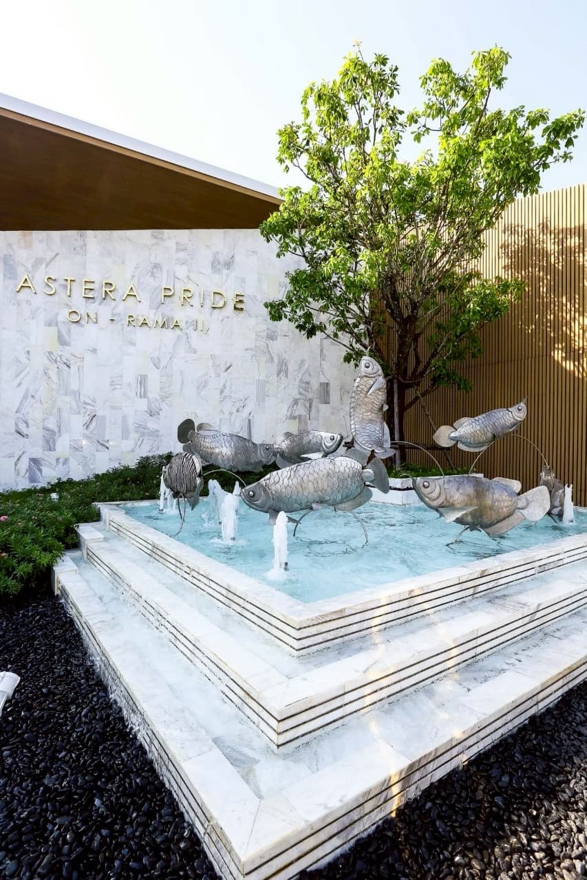 Astera Pride